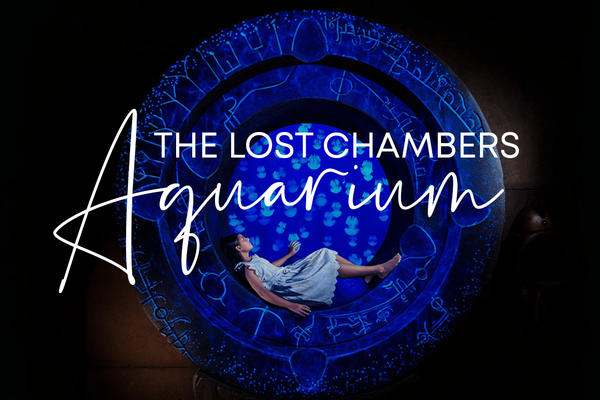 The Lost Chambers Aquarium