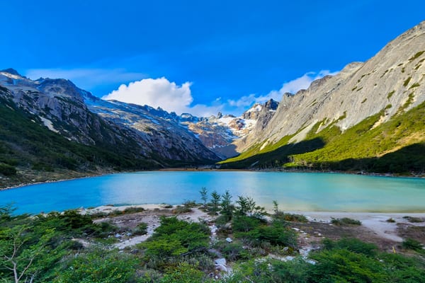 Highlights of Antarctica - 9 Nights Cruise