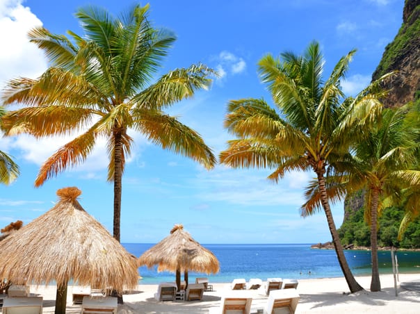 New York & St. Lucia