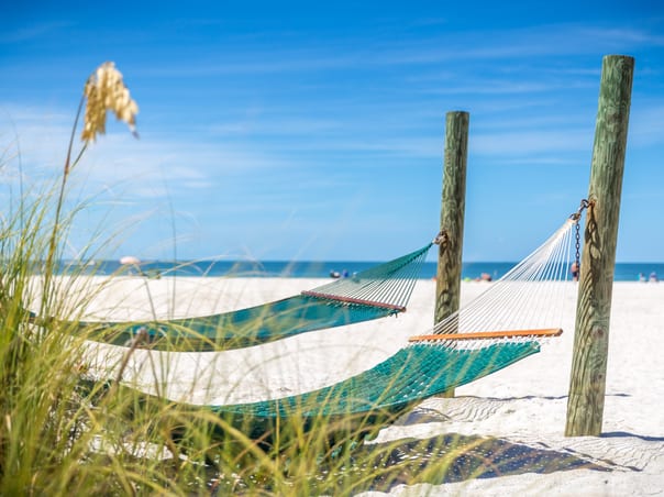 Walt Disney World & St Pete & Clearwater