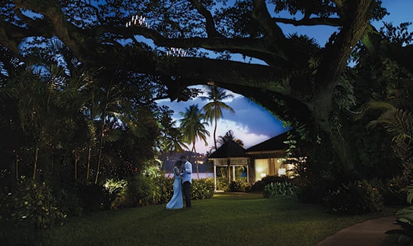 Rendezvous Romance Wedding Package