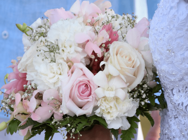 Exclusive Kenwood Travel Complimentary Wedding