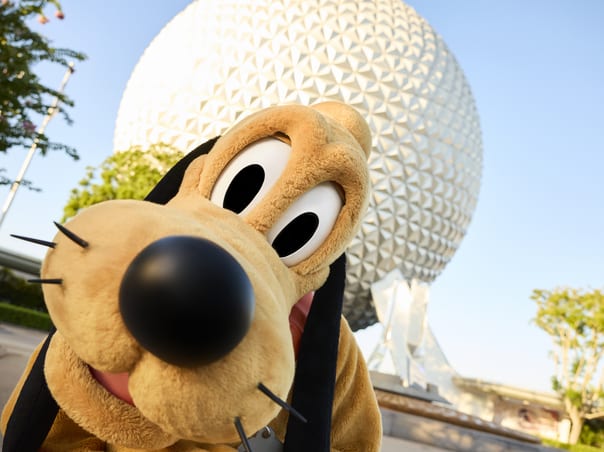 Walt Disney World Resort & Disney Area Villa