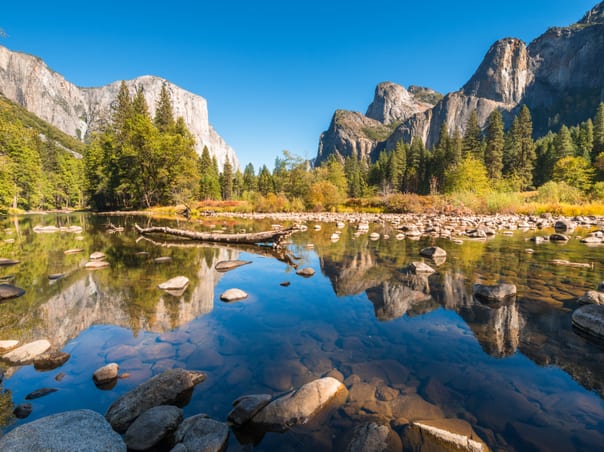 San Francisco & Yosemite