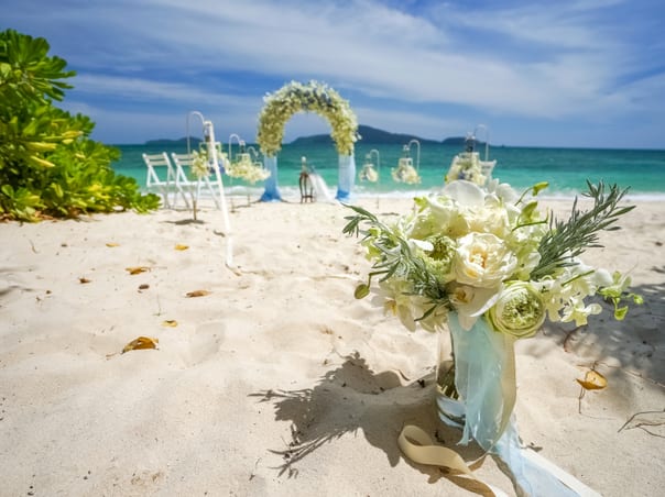 Wedding Delight Package