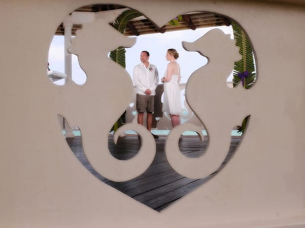 True Love Vow Renewal Package