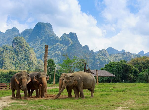 Krabi & Elephant Hills