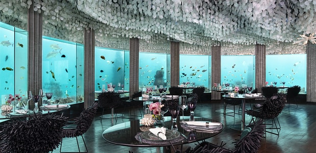 https://img.kenwoodtravel.co.uk/thumb/620x300/uploads/2024/03/28/5aa-%20Subsix_Underwater_Restaurant_Niyama_Private_Islands_Maldives.jpg