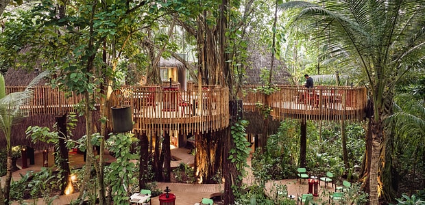 https://img.kenwoodtravel.co.uk/thumb/620x300/uploads/2024/03/28/Nest%20Restaurant.jpg
