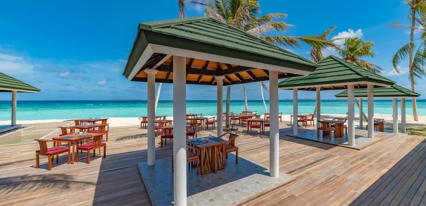 https://img.kenwoodtravel.co.uk/thumb/620x300/uploads/2025/08/11/the-wahoo-grill-2.jpg
