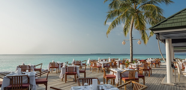 https://img.kenwoodtravel.co.uk/thumb/620x300/uploads/2025/08/11/wahoo-3.jpg