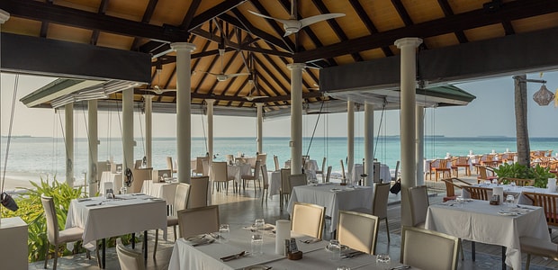 https://img.kenwoodtravel.co.uk/thumb/620x300/uploads/2025/08/11/wahoo-7.jpg