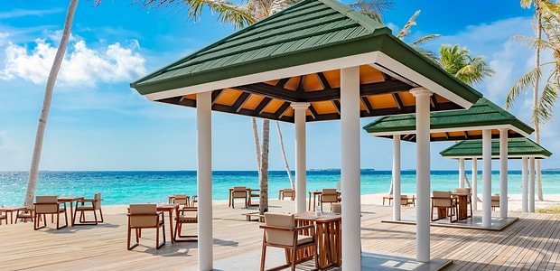 https://img.kenwoodtravel.co.uk/thumb/620x300/uploads/2025/08/8/arigato-7f7a7317.jpg