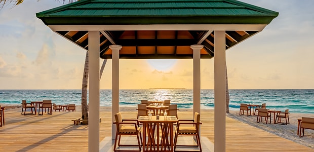 https://img.kenwoodtravel.co.uk/thumb/620x300/uploads/2025/08/8/arigato-7f7a7332.jpg