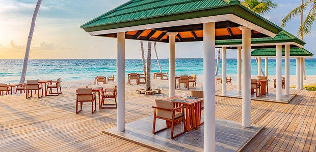 https://img.kenwoodtravel.co.uk/thumb/620x300/uploads/2025/08/8/arigato-7f7a7338.jpg