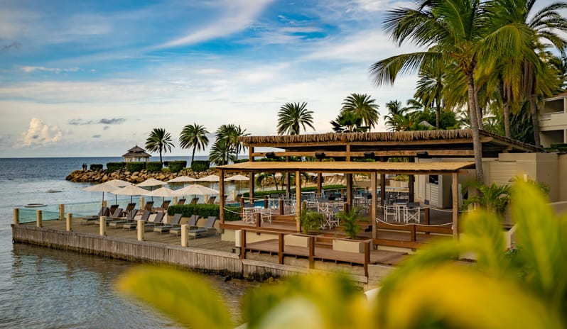 Blue Waters - The Reef