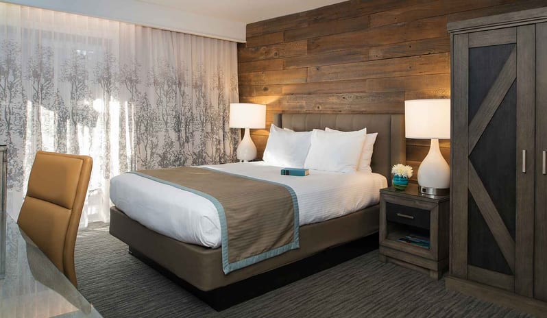 Single Queen Size Bed