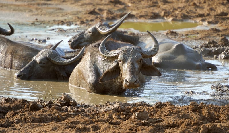 shutterstock_287770613