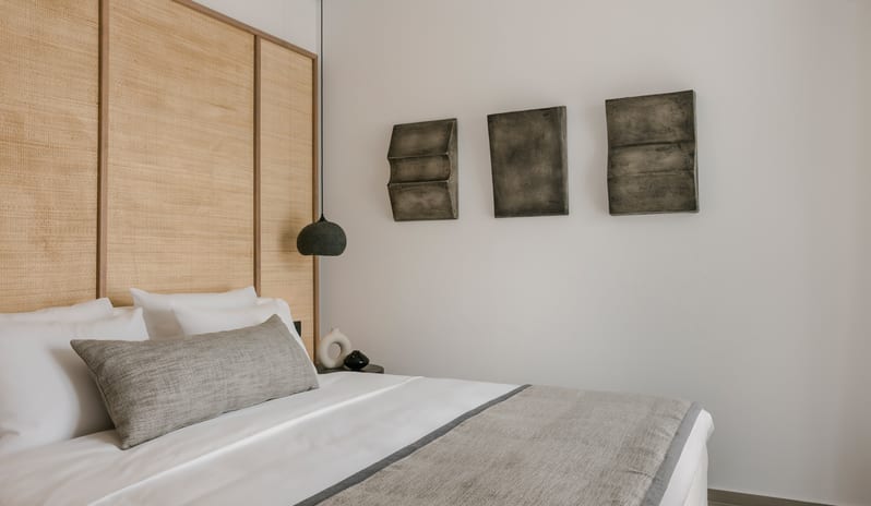 DELUXE ROOM WITH PLUNGE POOL