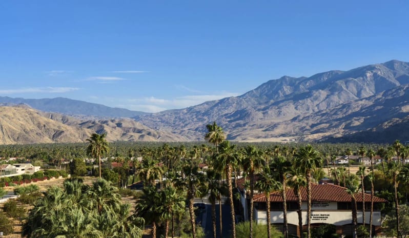 Renaissance Palm Springs Hotel - Junior Suite