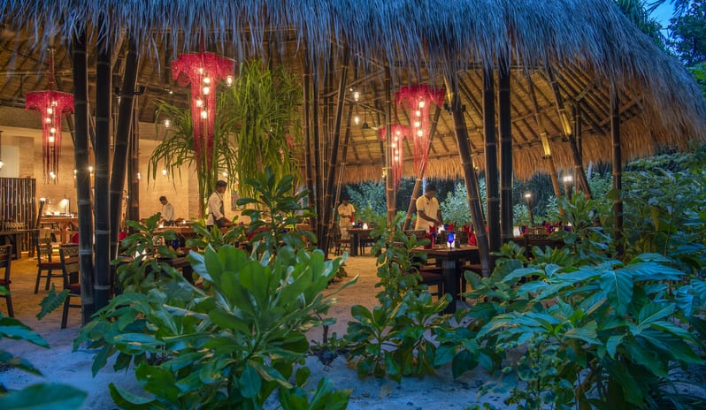 EMERALD ISLAND - AMAZONICO 1