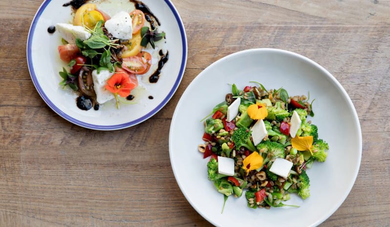 Kimpton Rowan - Juniper Table