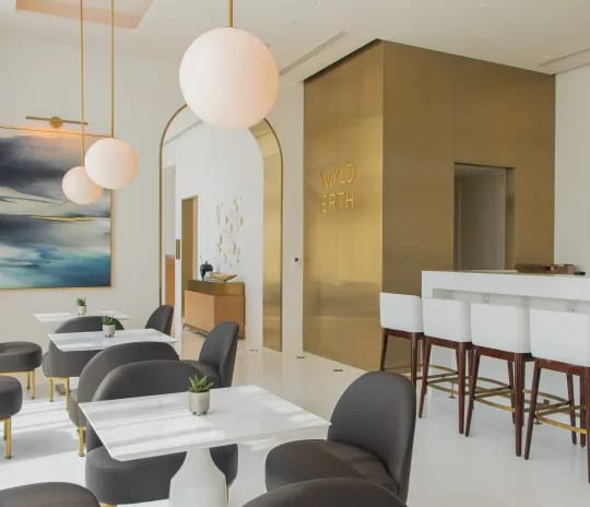 Waldorf Astoria Lusail, Doha - Wyld Erth