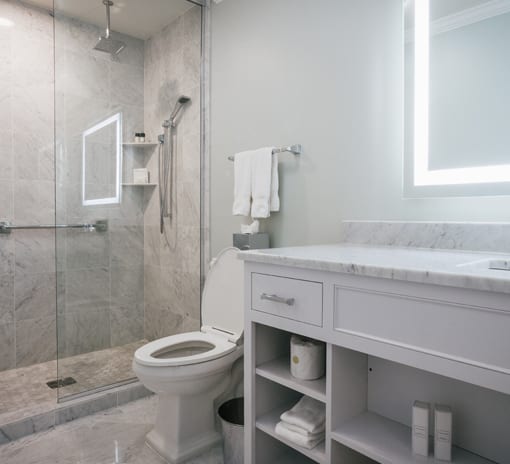 Interior Suite Bathroom