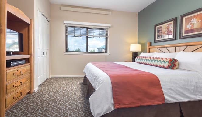 One Bedroom Mobility w/Roll-In Shower/Visual Assist