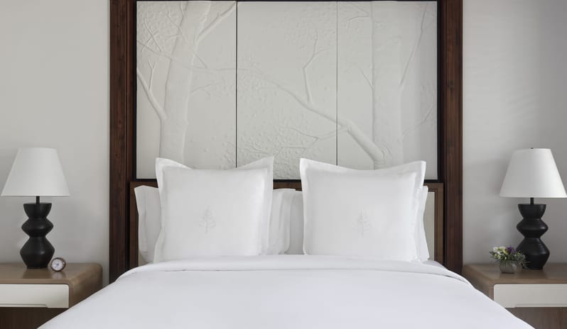 Mountain-View One-Bedroom Suite