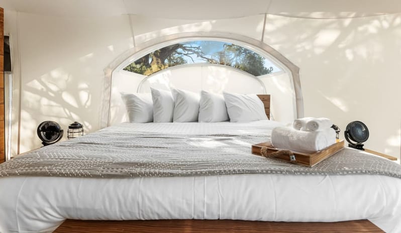 Stargazer with Kids Tent