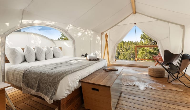 Stargazer with Kids Tent