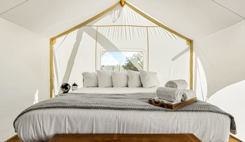 Suite with Kids Tent