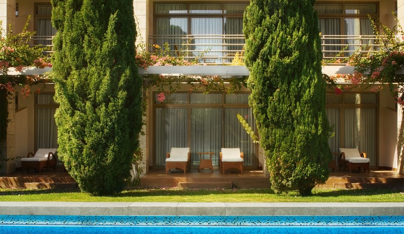 Superior Room Laguna