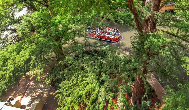 Room, 1 King Bed, Terrace View
