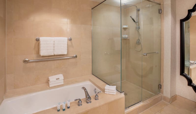 1 Bedroom Studio Suite City View Bathroom