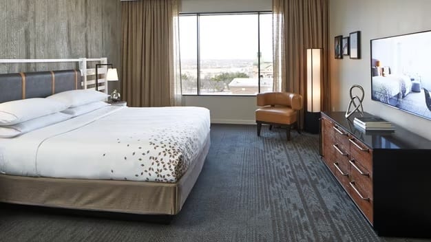 1 Bedroom Suite, 1 King, Terrace