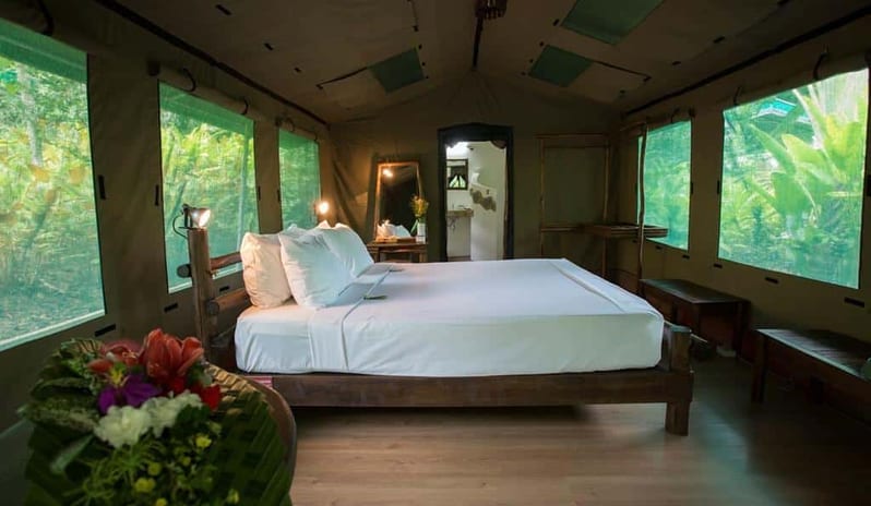 Elephant Hills Jungle Safari (2 Days 1 Night)