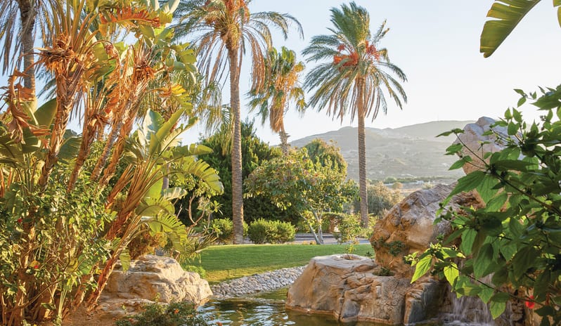 Asiana Restaurant, Green Space