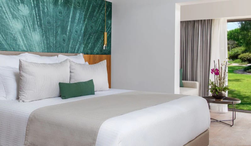 Preferred Club Junior Suite Swim Up