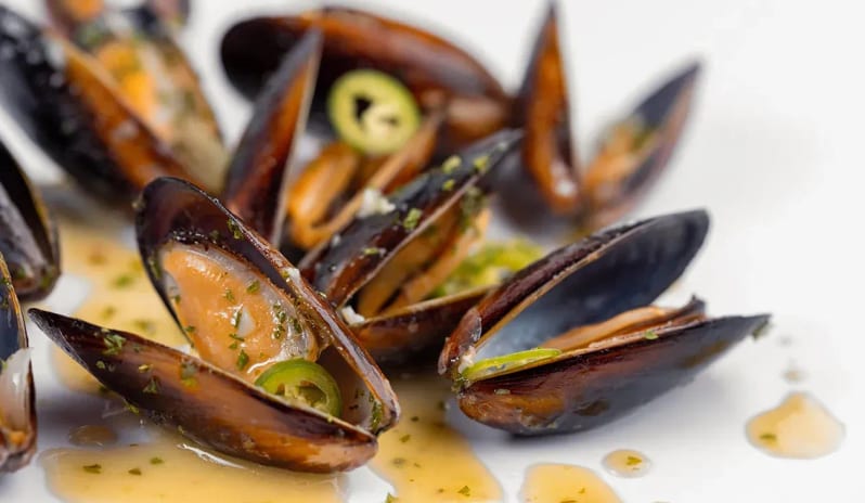 Moon Palace Nizuc - Trattoria_oysters_trattoria_restaurant