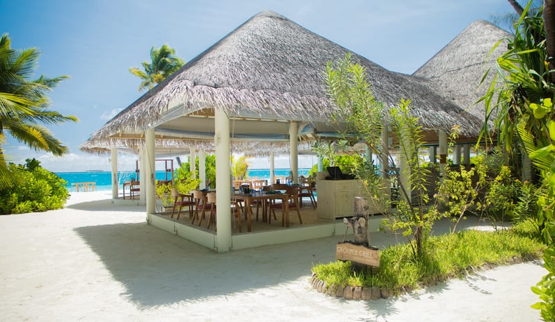 indian-ocean-holidays-maldives-sun-siyam-iru-veli-grouper- grill