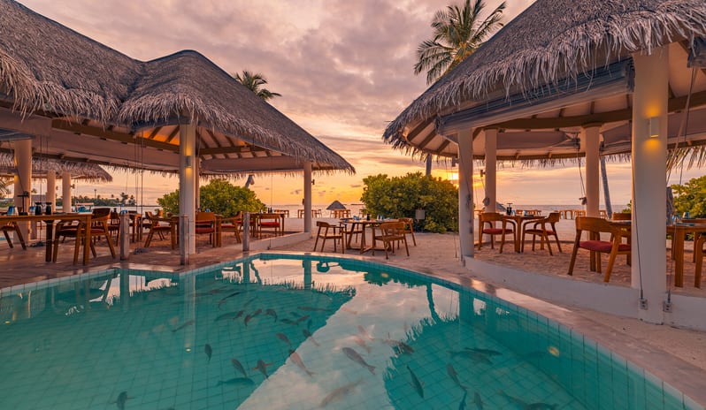 indian-ocean-holidays-maldives-sun-siyam-iru-veli-grouper- grill