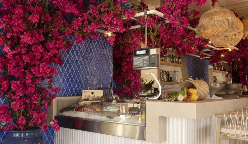 europe-holidays-spain-costa-del-sol-mett-marbella-estepona-ammos