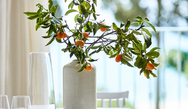 europe-holidays-greece-parga-parga-beach-resort-horizon-suite-with-sea-view-and- kitchenette