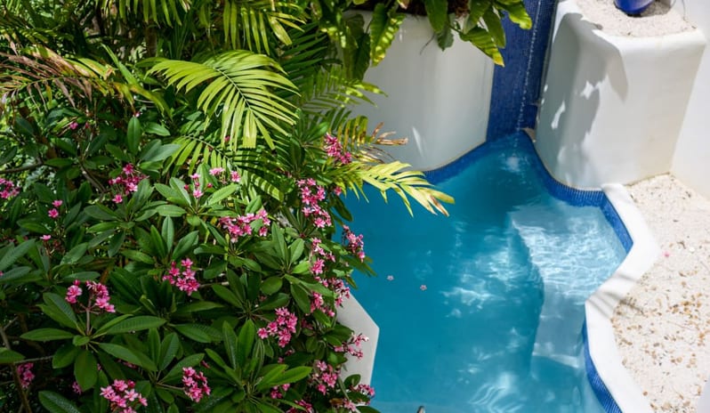 europe-holidays-cyprus-paphos-cap-st-georges-hotel-resort-luxury-garden-view-all-inclusive-dultsn-only-1-king-plunge-pool