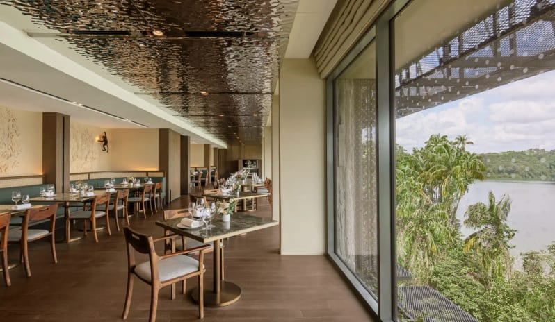 asia-holidays-singapore-mandai-rainforest-resort-by-banyan-tree-Forage