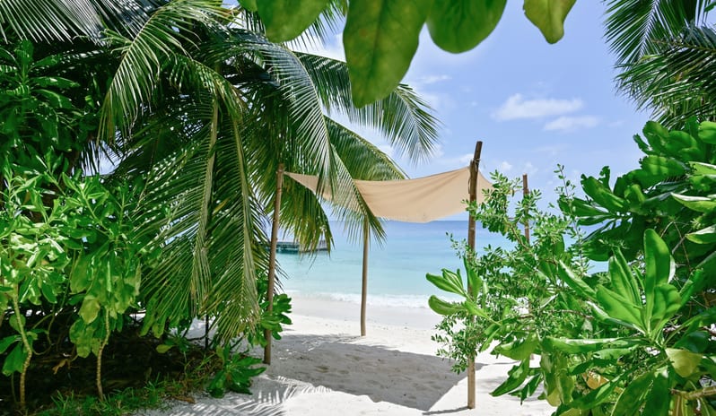 10-grand-premier-beach-villa-with-pool