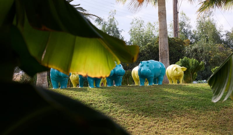 Children Playing Stachu at Luxme White Hotel in Europe by Kenwood Travel