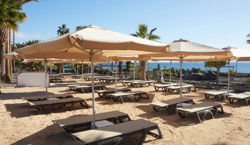 Barracuda Rows of tan sunbeds and large beige umbrellas on a sandy beachfront terrace at Dreams Lanzarote Playa Dorada Resort & Spa by Kenwood Travel
